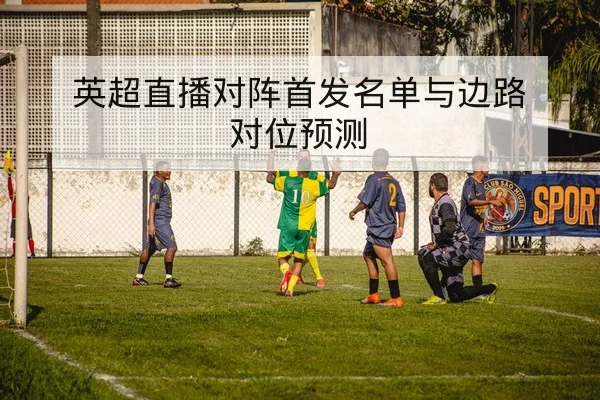 篮球球员三分热区命中率与罚球稳定性数据对比