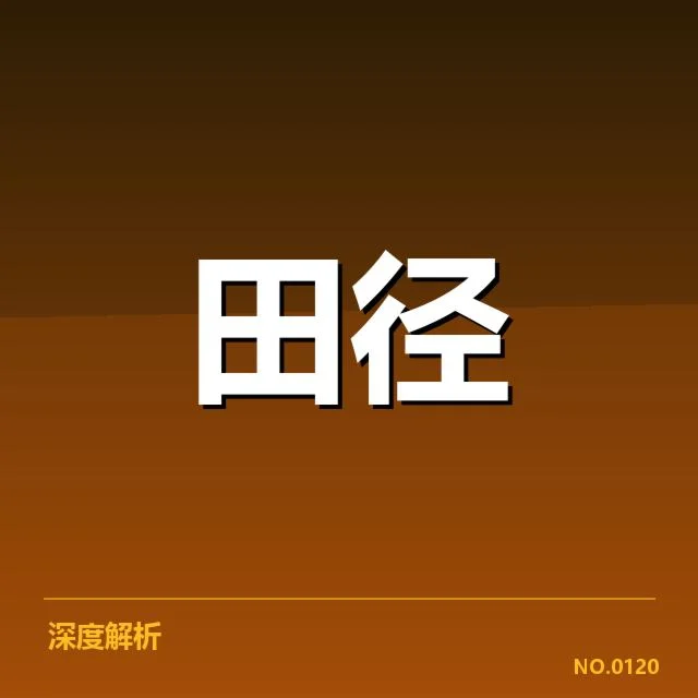 东京奥运会：苏炳添成绩表现如何呈现